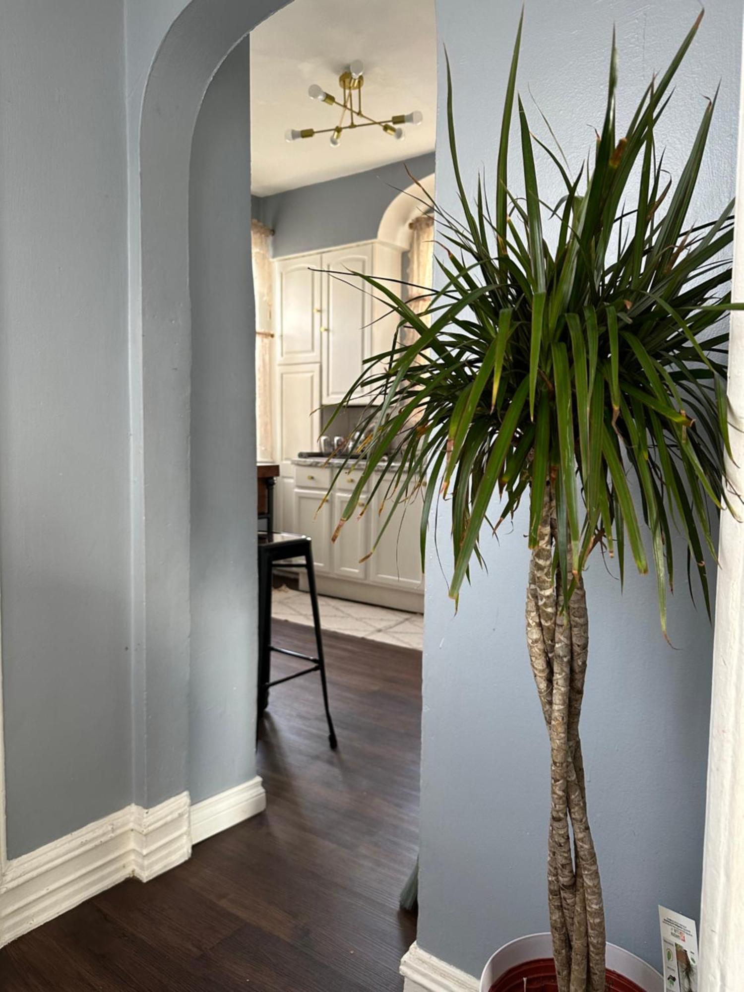 Zo Family Cottage Mount Vernon 外观 照片